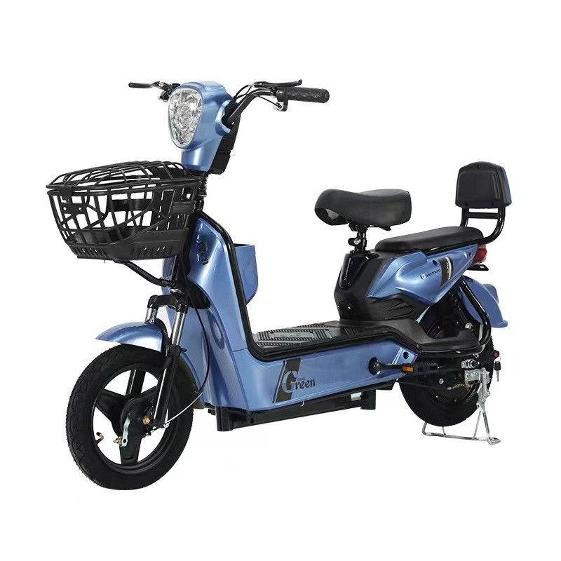 Men's Electric Folding Bike with Rear Wheel Disc Brake and Smart Sensor Technology