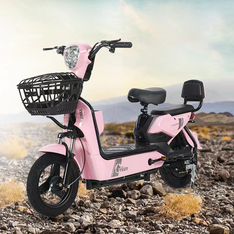 Rear Wheel Disc Brake Electric Bike 1000w for 48V12A/20A Battery and Smooth Performance