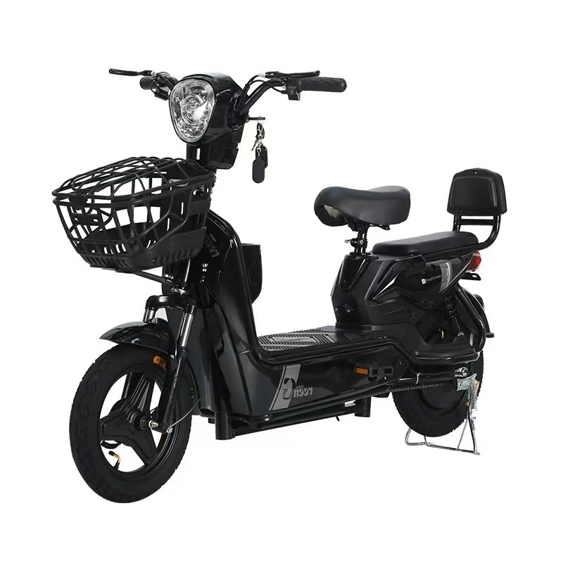 Customized Color Energy Saving Skate Cycle Electric Folding Bike Foldable E-Bike for Your Requirements