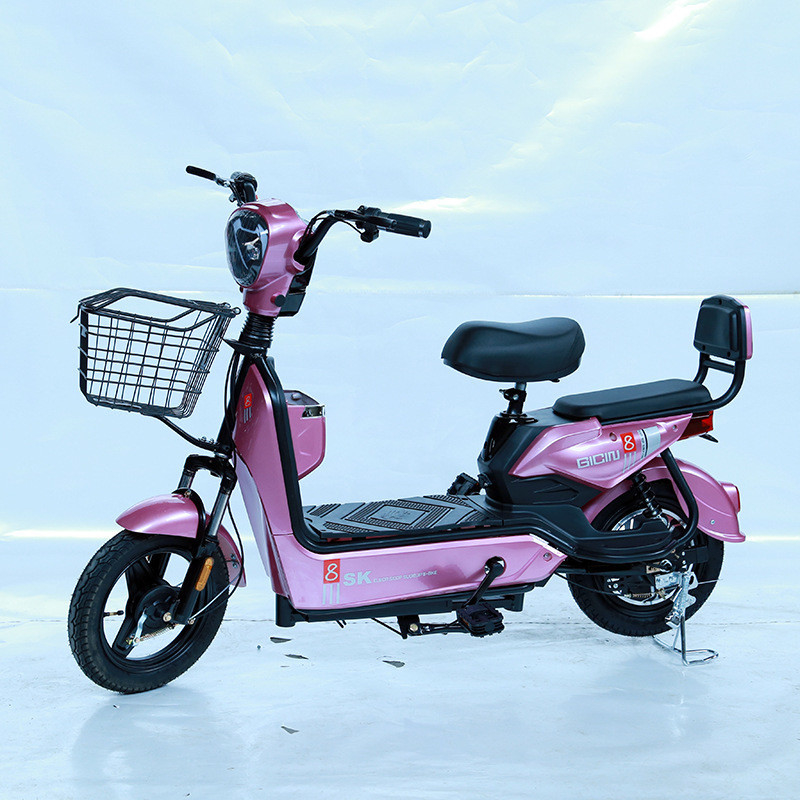 Aluminum Alloy Frame Various E Cycle Electric Pit Bike E-Bike with 48V Voltage