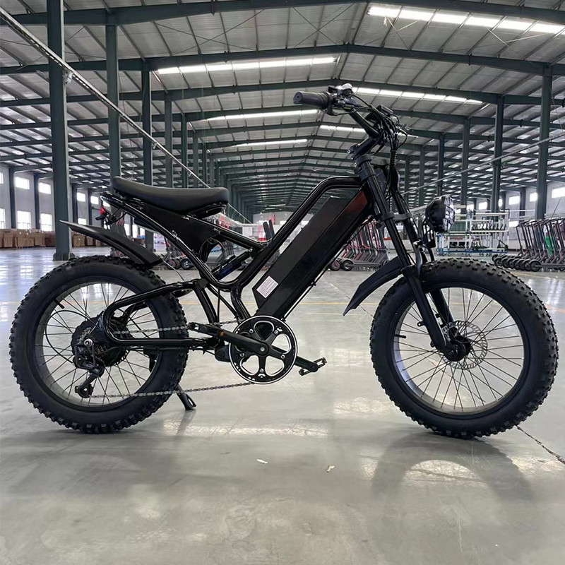 Tire Width 20*2.8&quot; Charging Time 3 Hours 60 km 20&quot; Snow Wheel 750W Motor Power Automatic Driving Battery 15A Rear Light with Brake Light